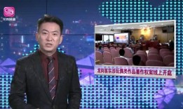 龙岗爆料新闻事件视频,最新事件视频曝光，真相究竟如何？