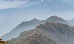 西安早安爆料事件最新,真相揭秘，网络舆论漩涡中的法律与道德边界